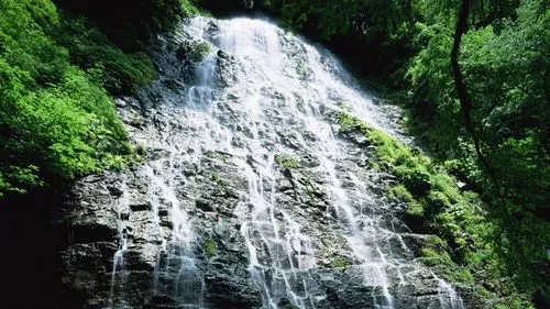 高效智慧高效